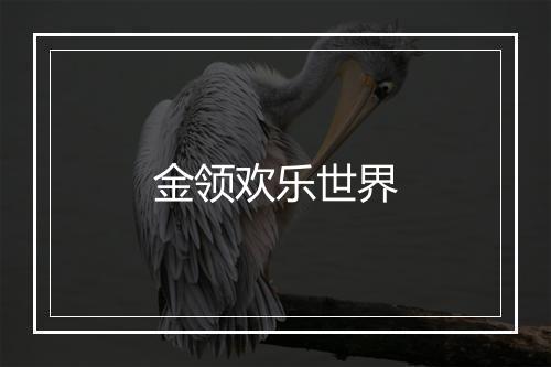 金领欢乐世界