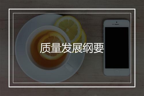 质量发展纲要