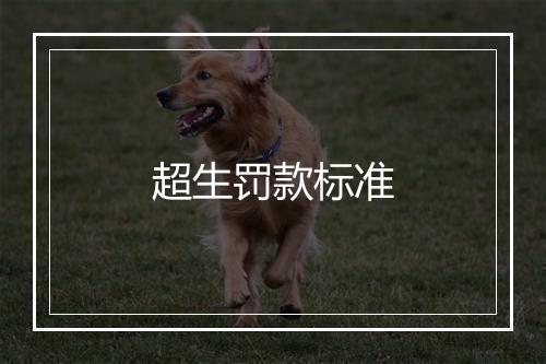 超生罚款标准