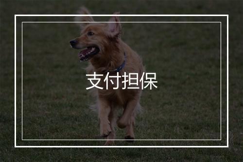 支付担保