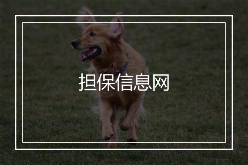 担保信息网