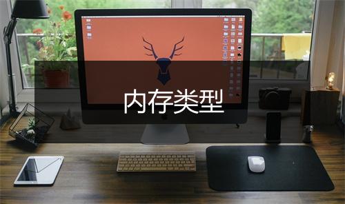 内存类型