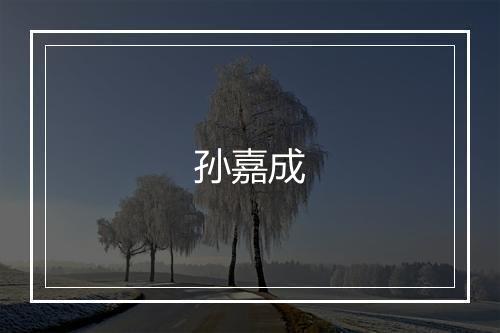 孙嘉成