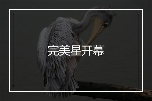 完美星开幕