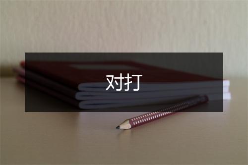 对打