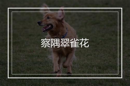 察隅翠雀花