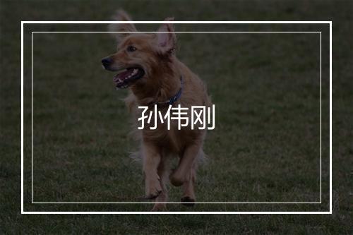 孙伟刚