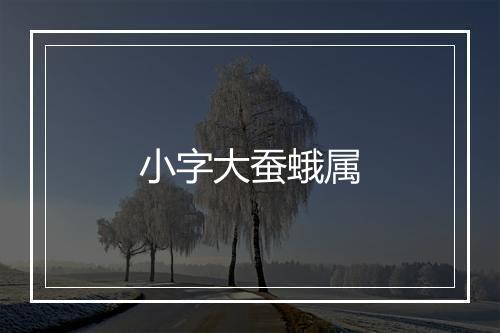 小字大蚕蛾属