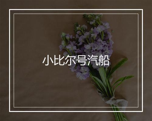 小比尔号汽船