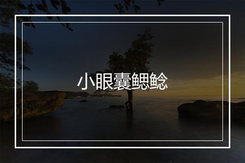 小眼囊鳃鲶