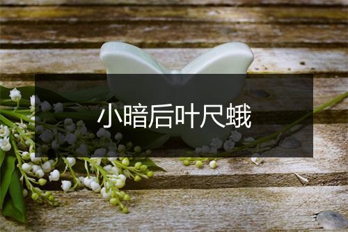 小暗后叶尺蛾