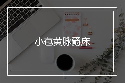 小苞黄脉爵床