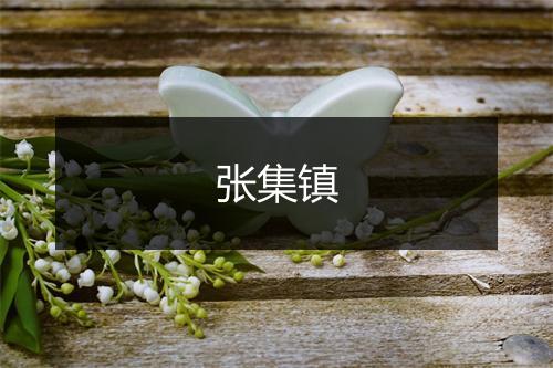 张集镇