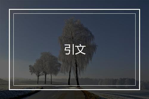 引文