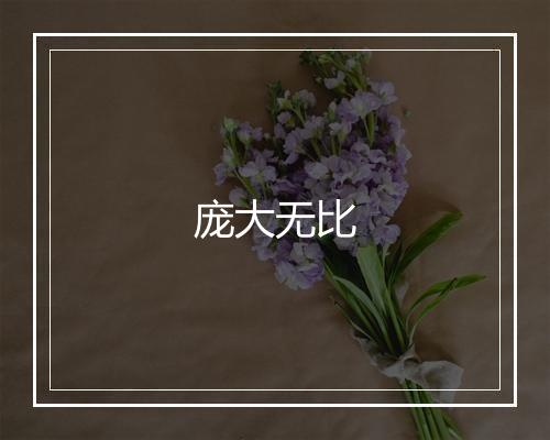 庞大无比