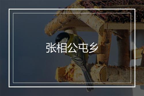 张相公屯乡