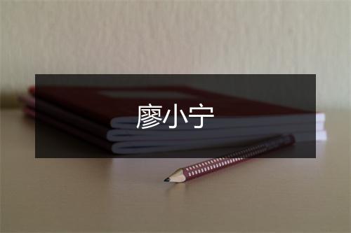 廖小宁