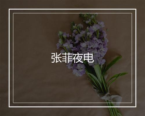 张菲夜电