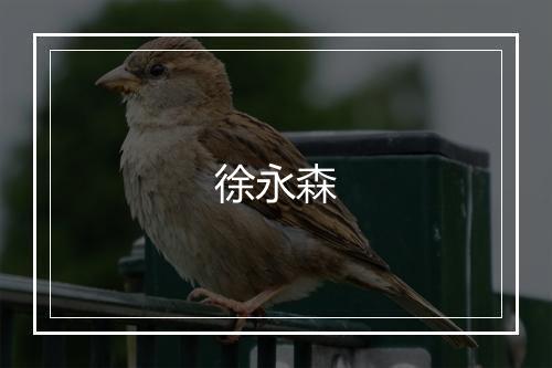 徐永森