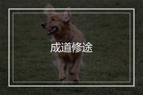 成道修途