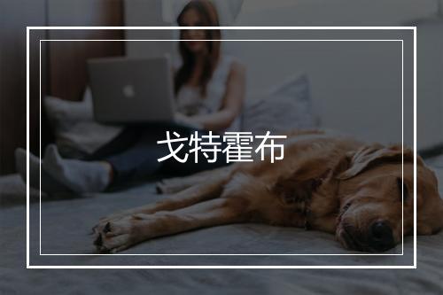 戈特霍布