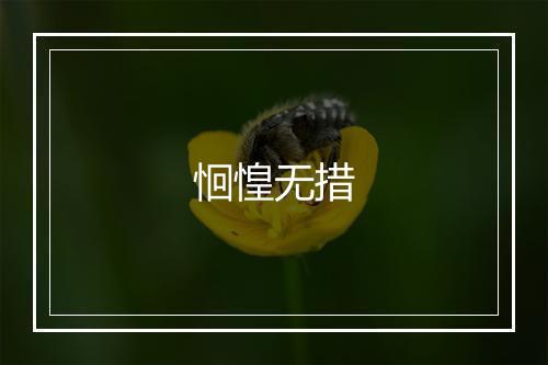 恛惶无措