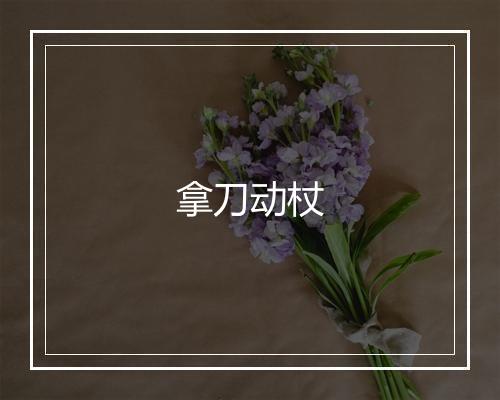 拿刀动杖