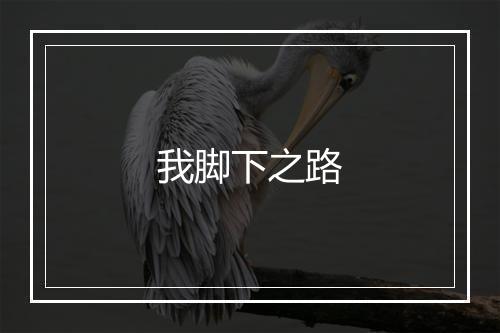 我脚下之路