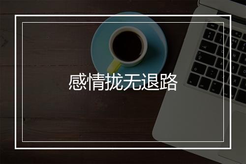 感情拢无退路