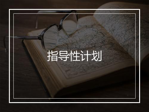 指导性计划