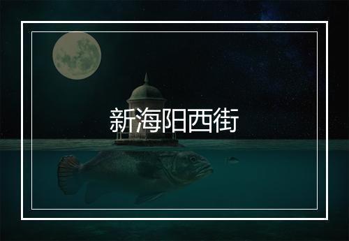 新海阳西街