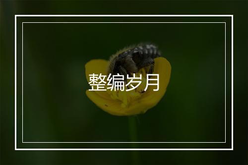 整编岁月