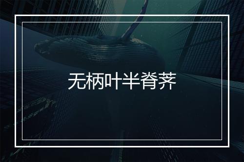 无柄叶半脊荠