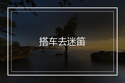 搭车去迷笛