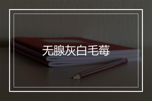 无腺灰白毛莓