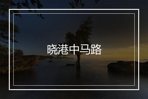 晓港中马路