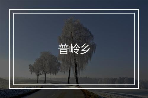 普岭乡