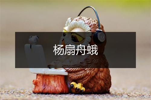 杨扇舟蛾