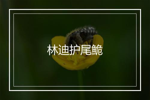 林迪护尾鮠