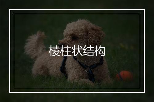 棱柱状结构