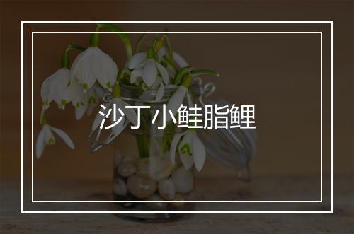 沙丁小鲑脂鲤