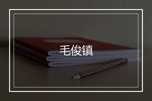 毛俊镇