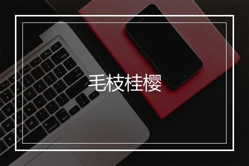 毛枝桂樱