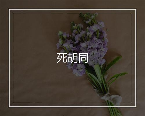 死胡同