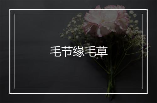 毛节缘毛草