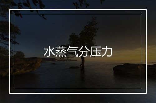 水蒸气分压力