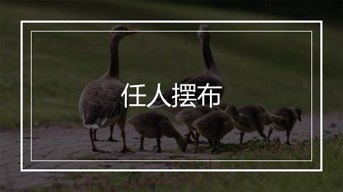 任人摆布