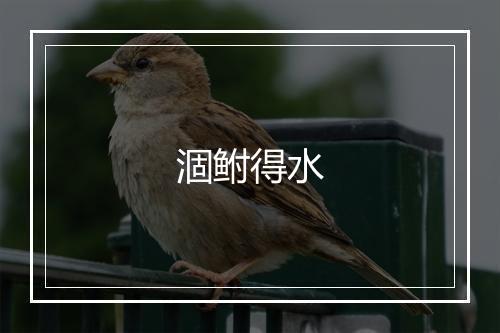 涸鲋得水