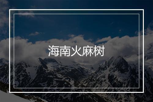 海南火麻树