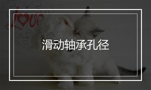 滑动轴承孔径